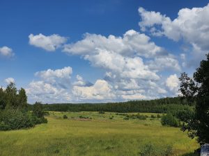 Katsotaan sitä Vaajasalossa piipahtamista juhannuksen jälkeen. Siellä on kyllä kaunista. Laitan 